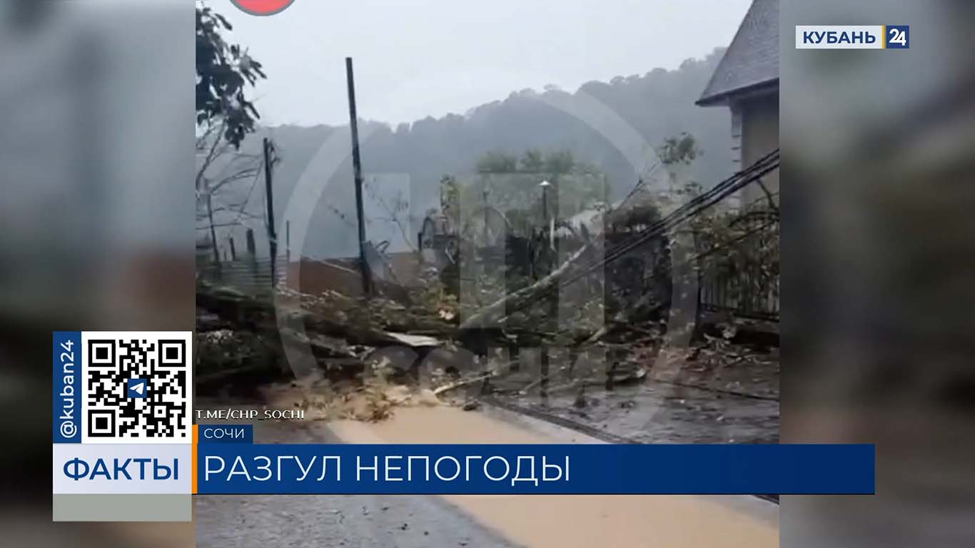 Пострадавших от потопа жителей Сириуса отправили в пункты временного размещения