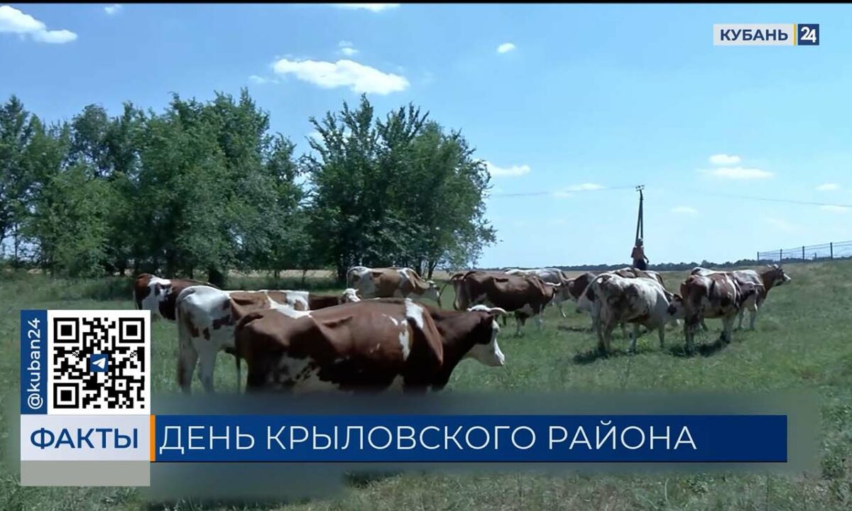 Крыловскому району посвятили выпуск 8 октября на телеканале «Кубань 24»