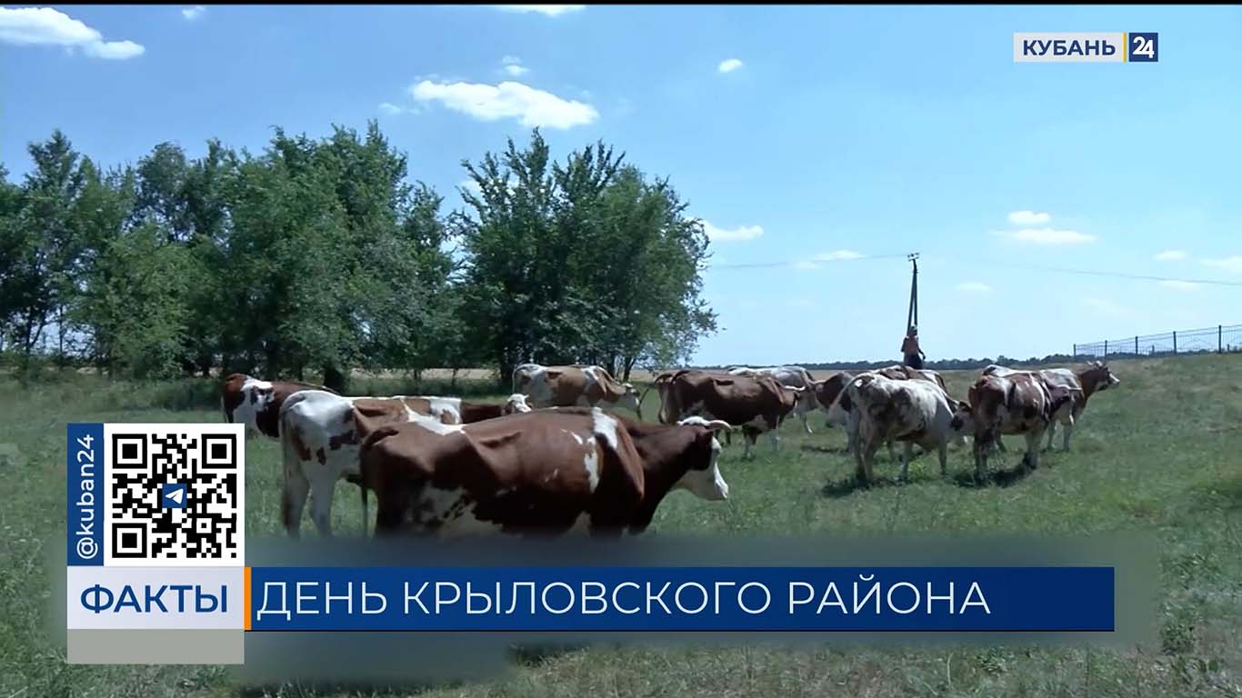 Крыловскому району посвятили выпуск 8 октября на телеканале «Кубань 24»