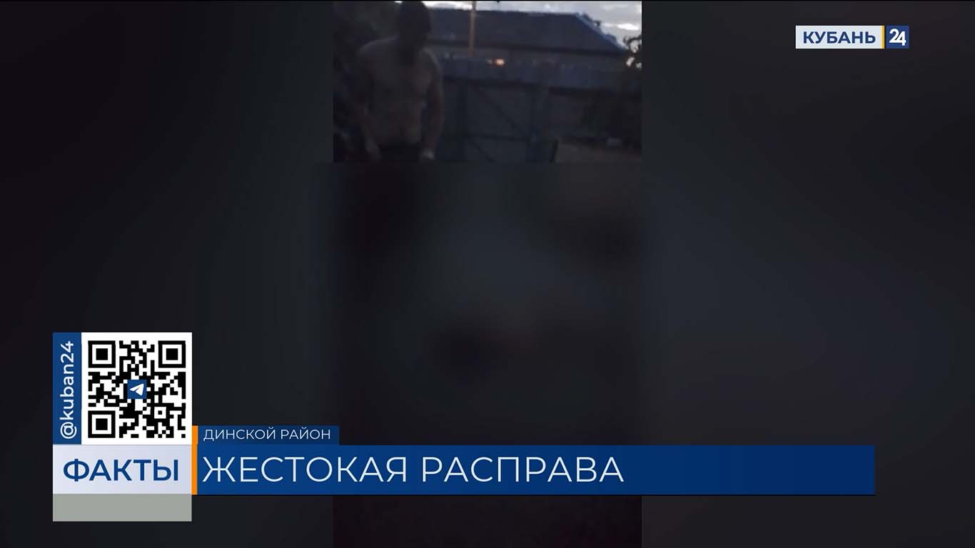 Соседи рассказали о мужчине, насмерть забившем свою собаку в Динском районе