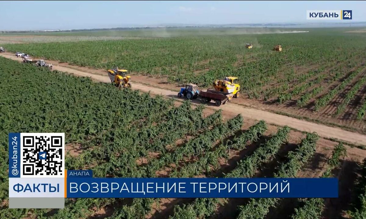 В Анапе более 43 тыс. кв. метров земли вернули в муниципальную собственность