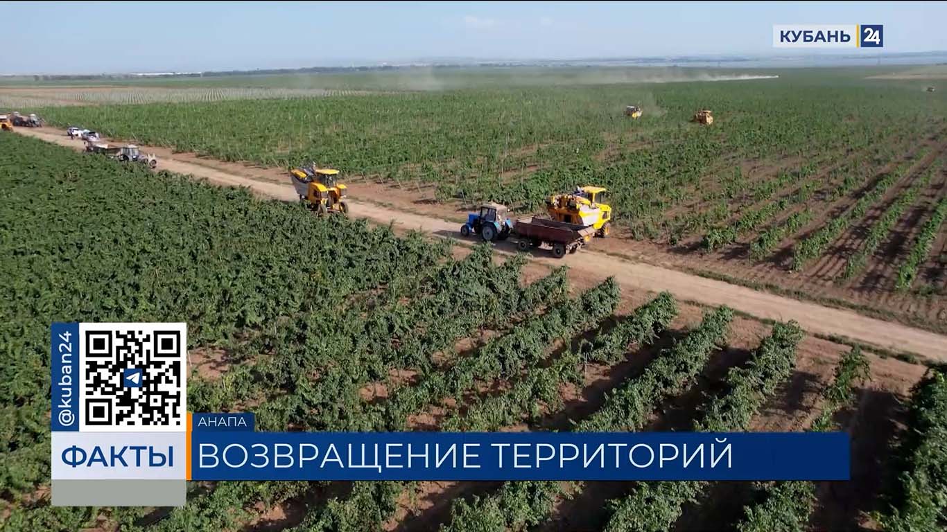В Анапе более 43 тыс. кв. метров земли вернули в муниципальную собственность