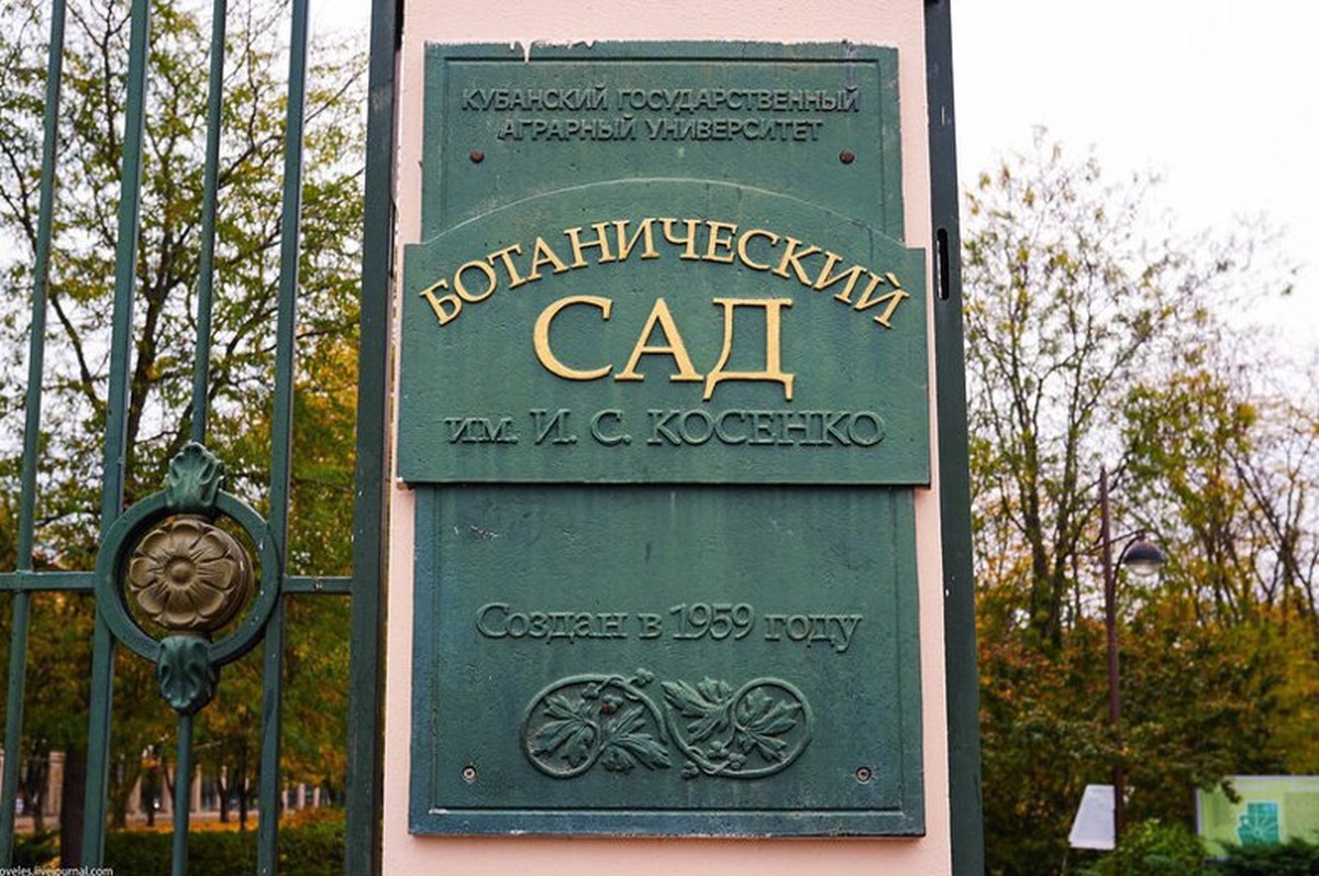 Дендрарий в Краснодаре закроют 9 октября из-за сильного ветра