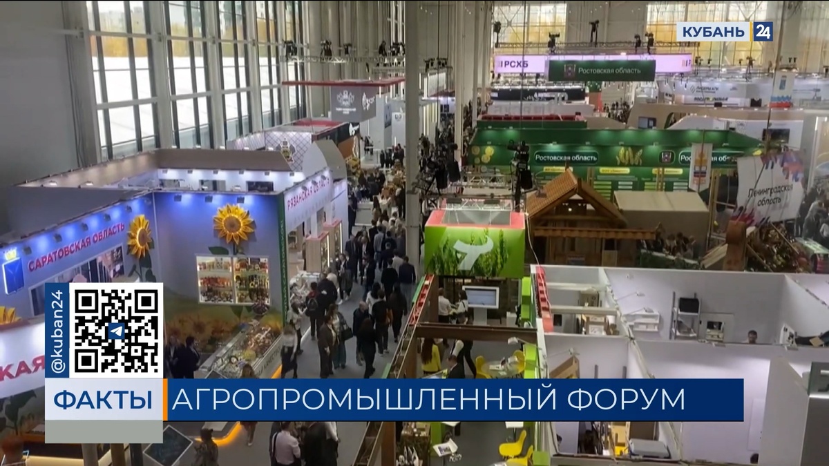 Краснодарский край увеличит объемы экспорта сельхозпродукции