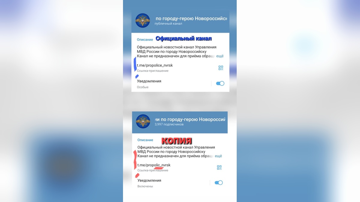 Жителей Кубани предупредили о фейковом Telegram-канале полиции Новороссийска