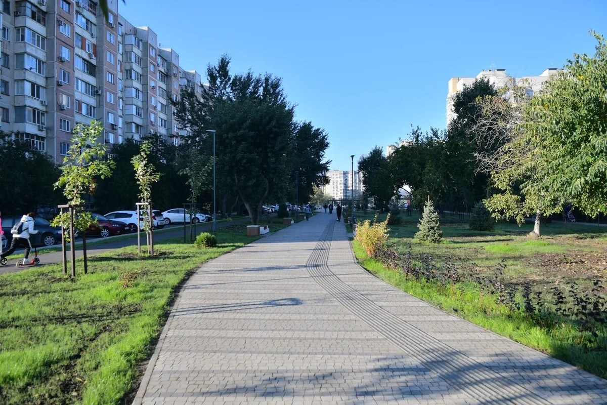 Жителей Краснодара предупредили об обработке хвойных деревьев в парках и скверах
