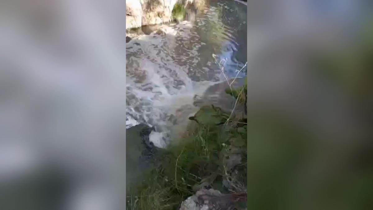 Водоканал отреагировал на жалобы на качество воды в реке под Новороссийском
