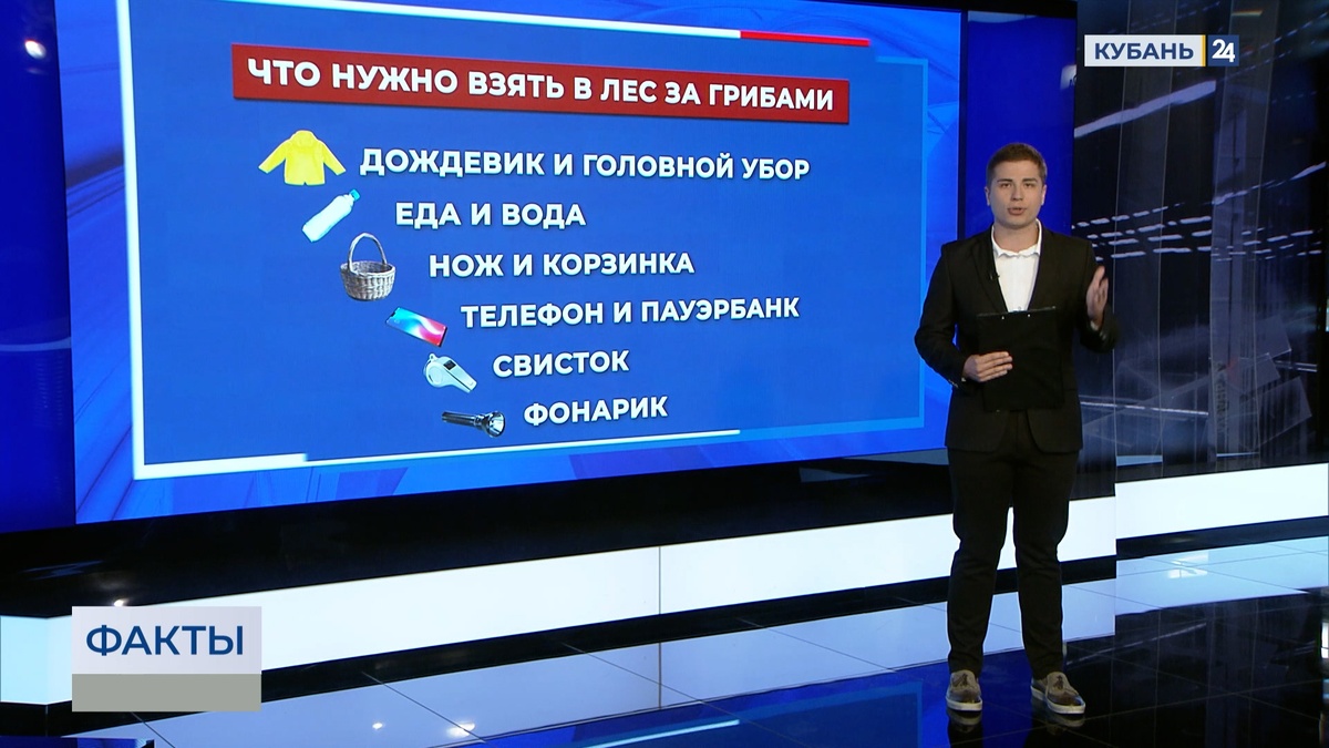 Грибной сезон стартовал на Кубани: как не заблудиться в лесу