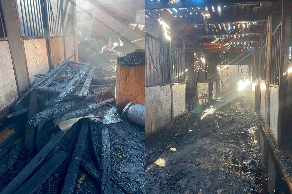 Человек погиб при пожаре на конюшне в Динском районе