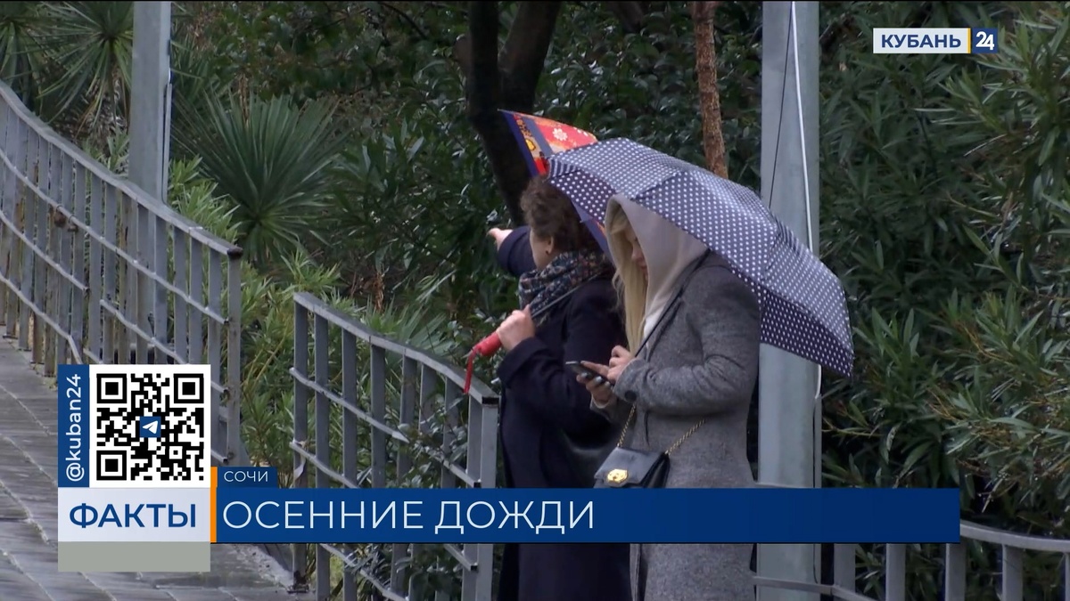 Синоптики прогнозируют тепло и дожди в конце октября на Кубани
