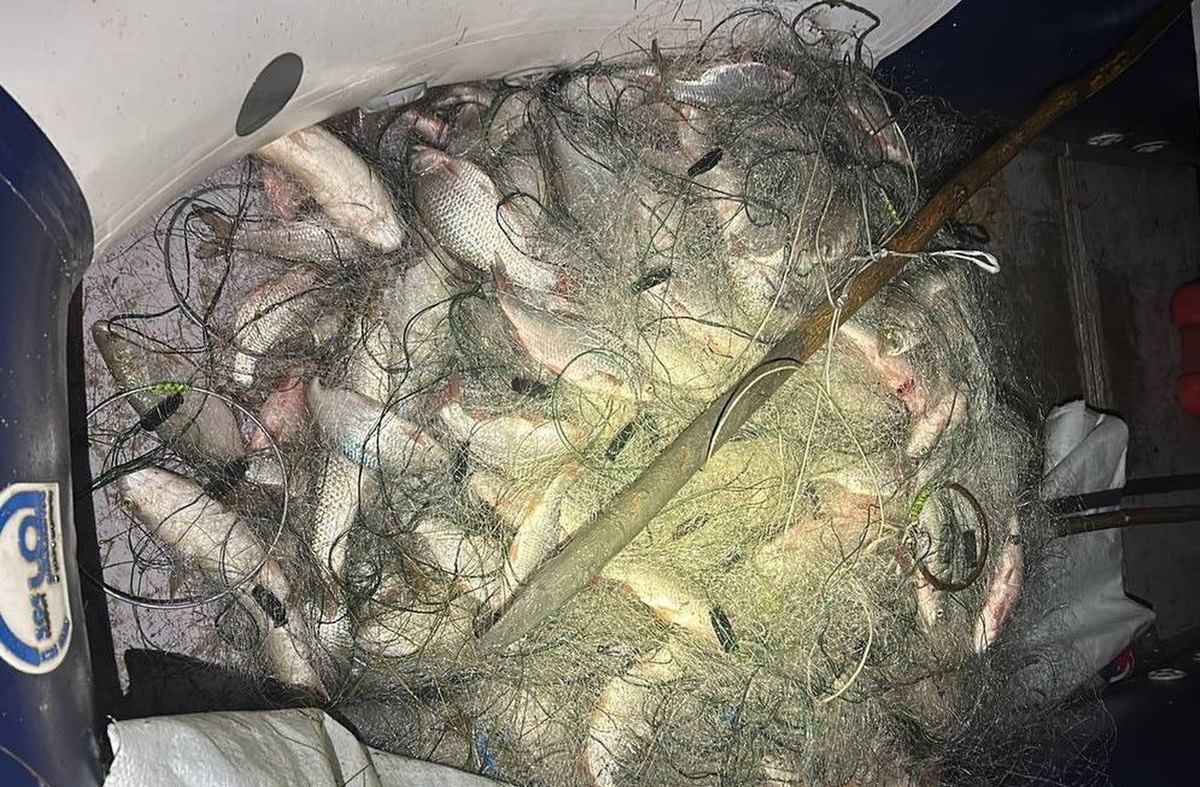 Кубанца обязали выплатить около 400 тыс. рублей штрафа за браконьерство в лимане