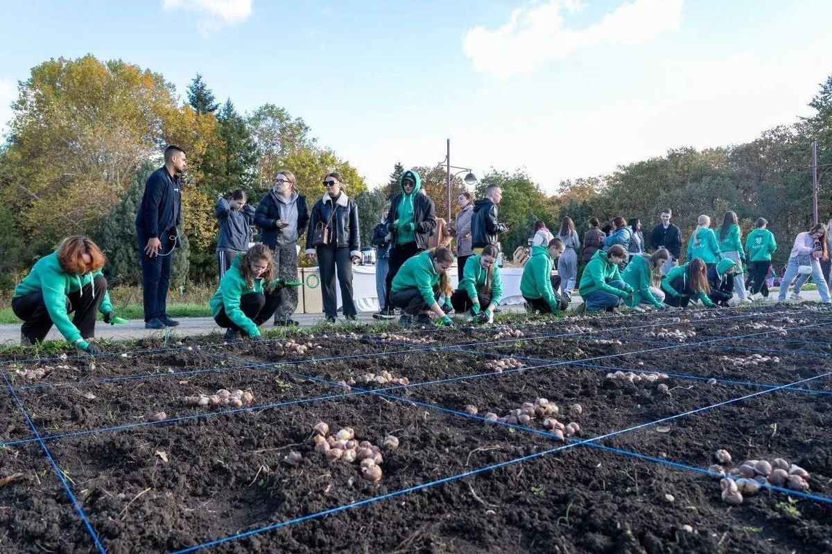 В Краснодаре на месте фотозоны в дендрарии высадили 150 тыс. луковиц тюльпанов