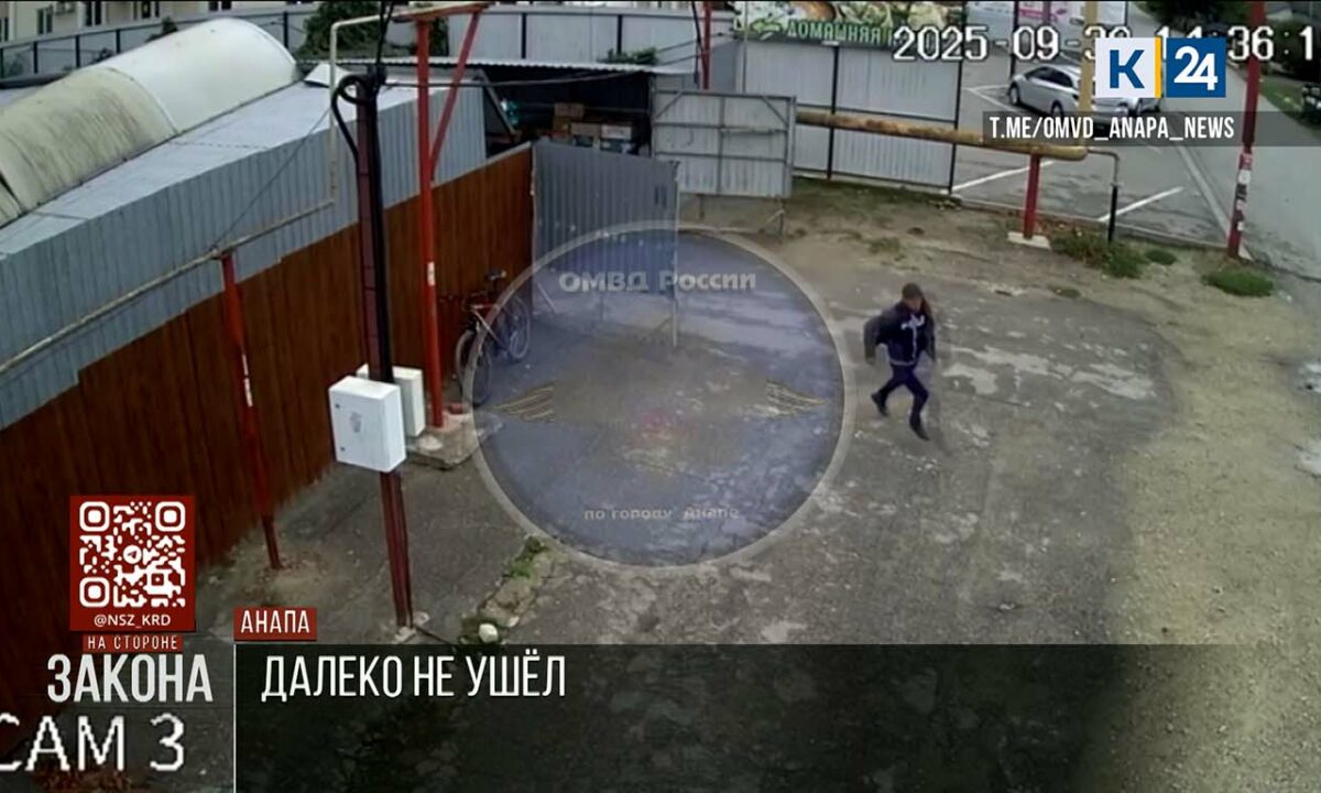 Неравнодушные прохожие задержали грабителя на рынке в Анапе