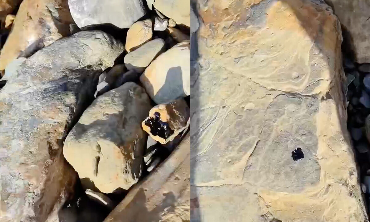 На каменном пляже в центральной части Анапы обнаружили точечные выбросы мазута