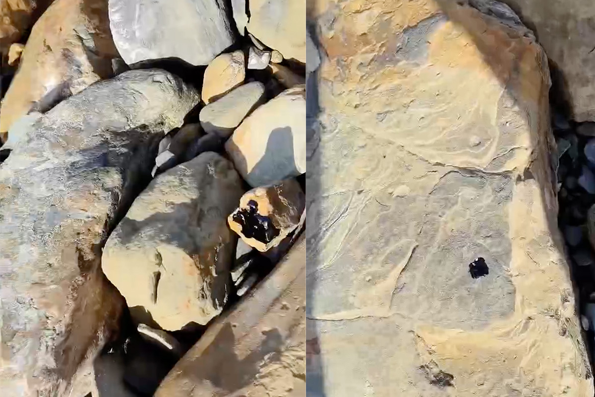 На каменном пляже в центральной части Анапы обнаружили точечные выбросы мазута