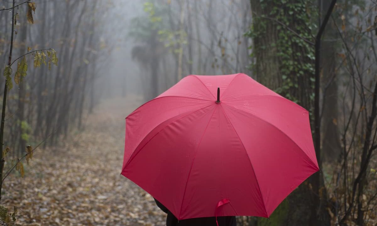 Эксперт Завьялова рассказала, как выбрать надежный зонт