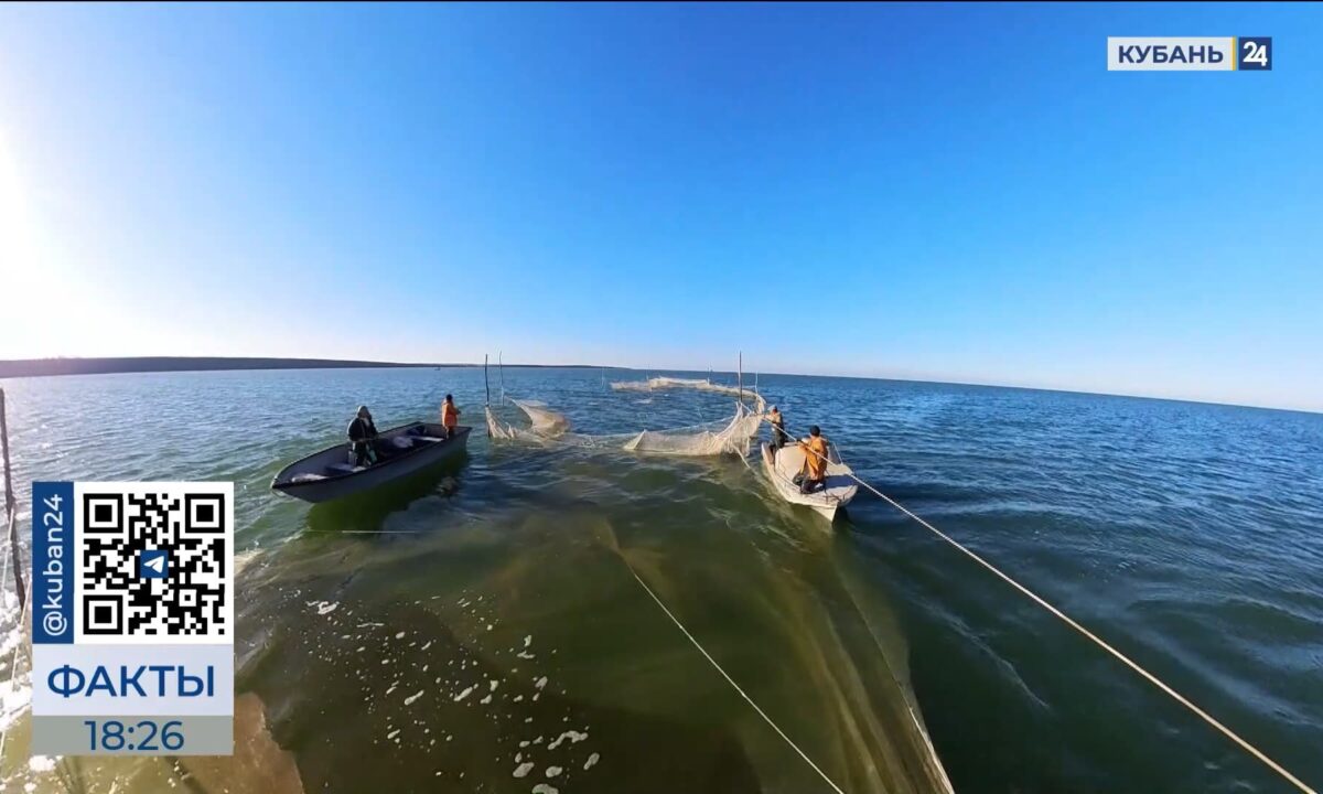 Соленость Азовского моря достигла рекордных значений в 2025 году