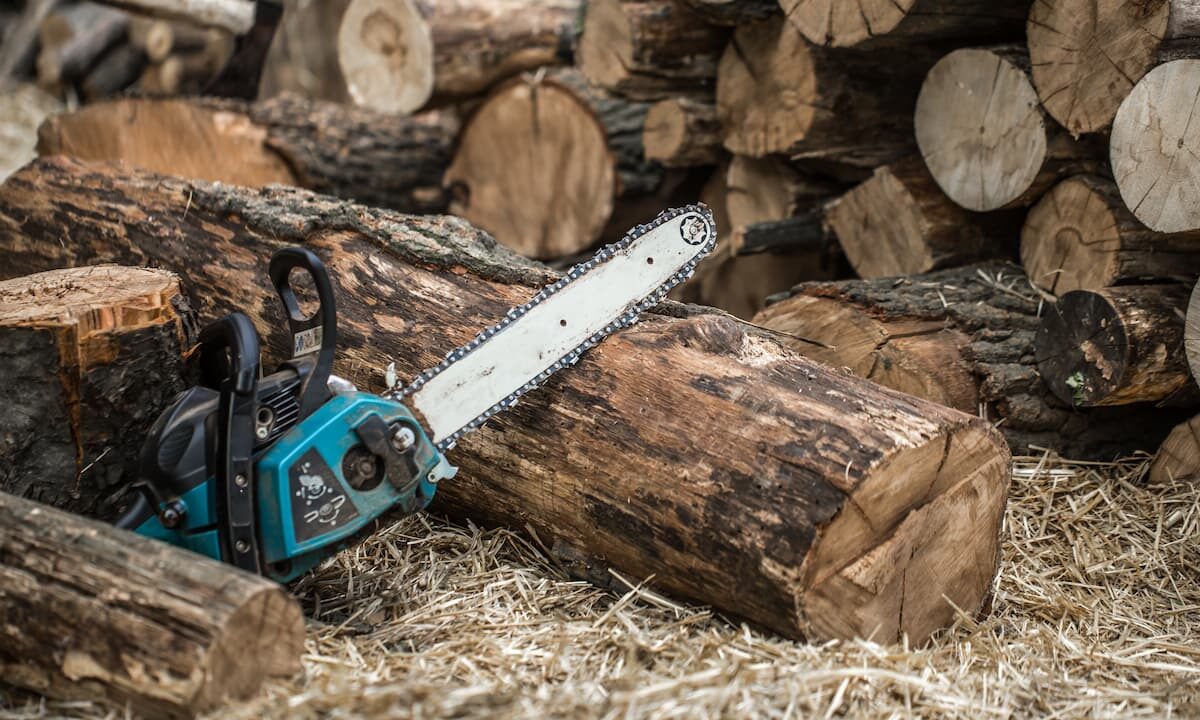 Суд оштрафовал жительницу Сочи на 10 млн рублей за незаконную вырубку деревьев