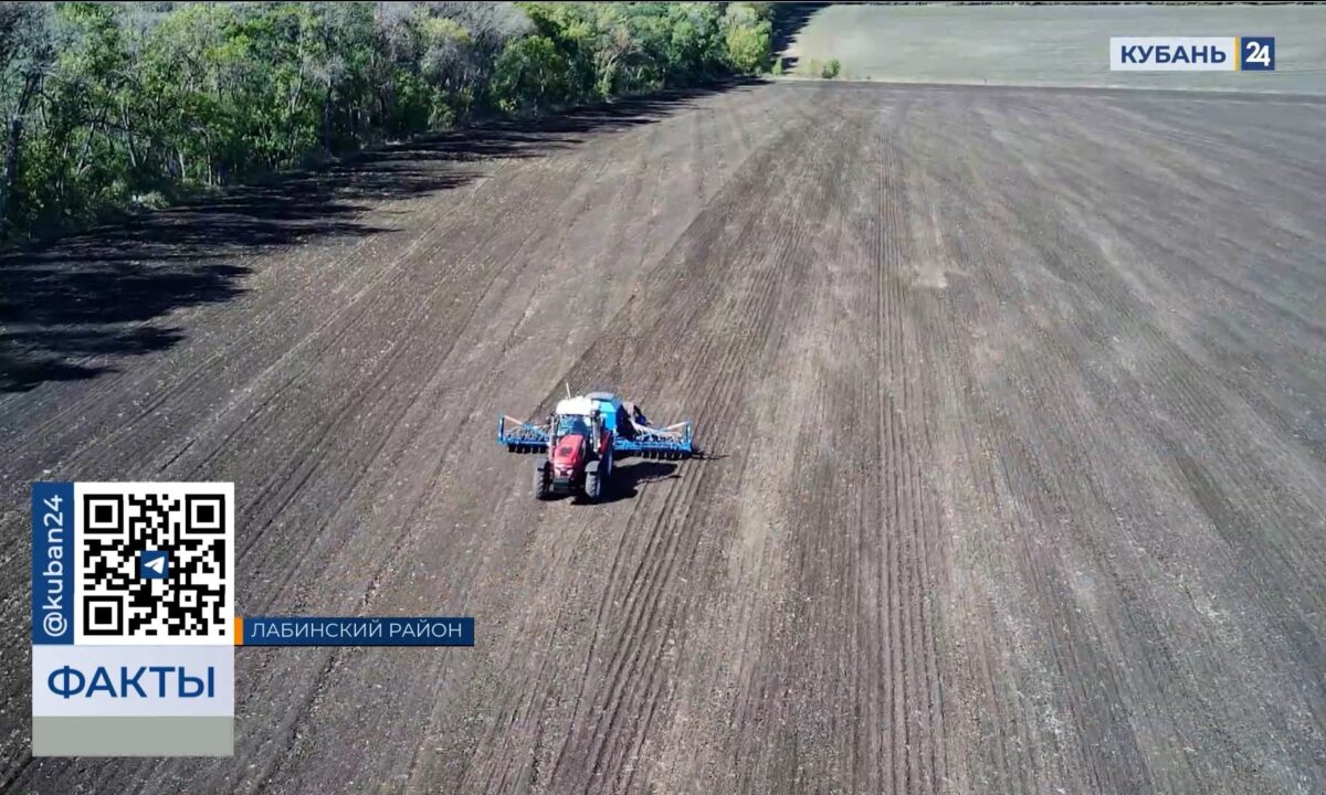 Сельхозавиацию могут привлечь для формирования дождевых облаков на Кубани