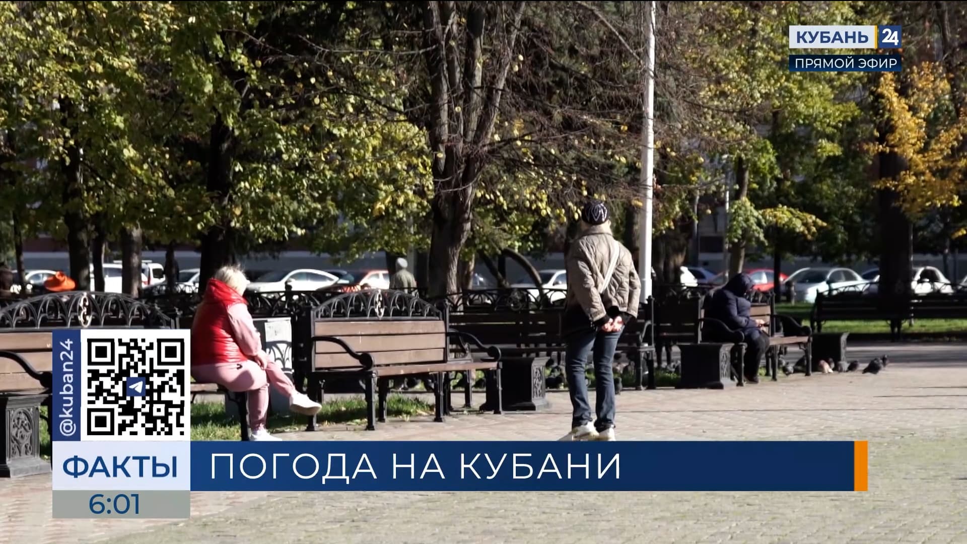 Гребень антициклона принесет на Кубань сухую и солнечную погоду