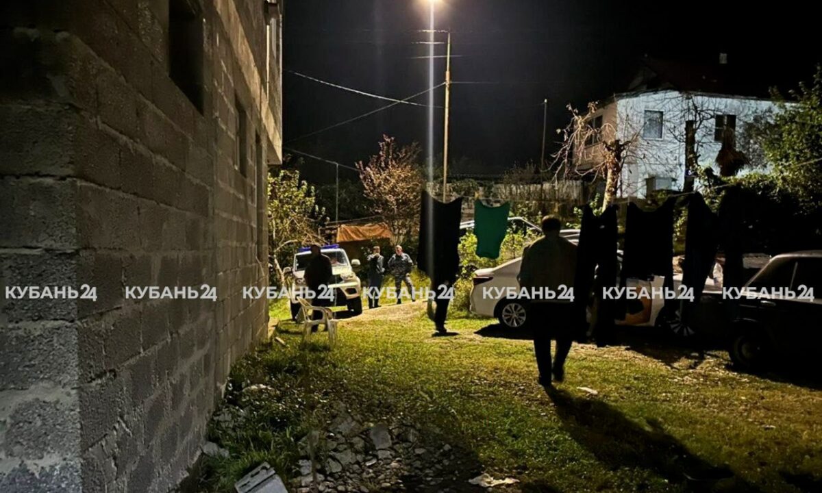 Агрессивный алабай покусал двух детей в Сочи