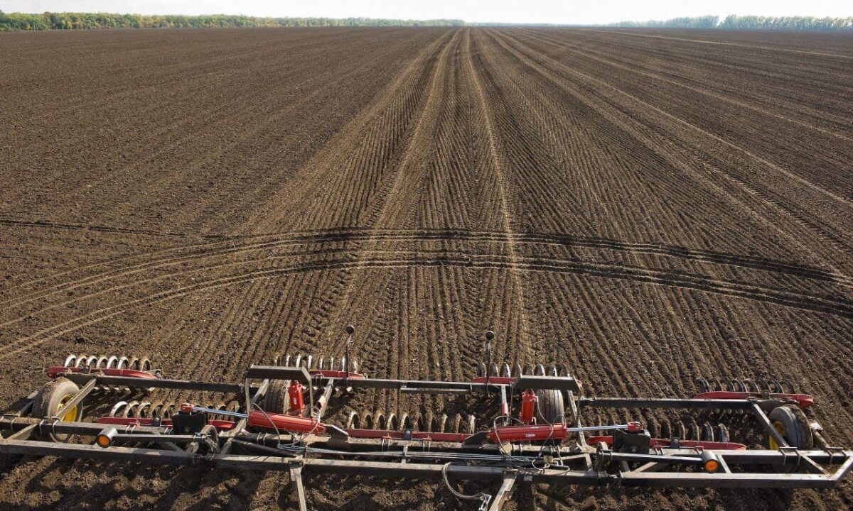 В Краснодарском крае озимыми культурами засеяли более 833 тыс. гектаров
