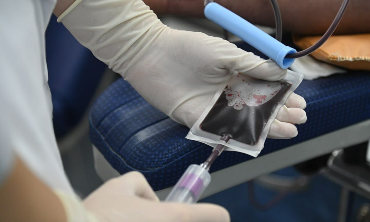 Мобильное приложение для доноров запустили на Кубани