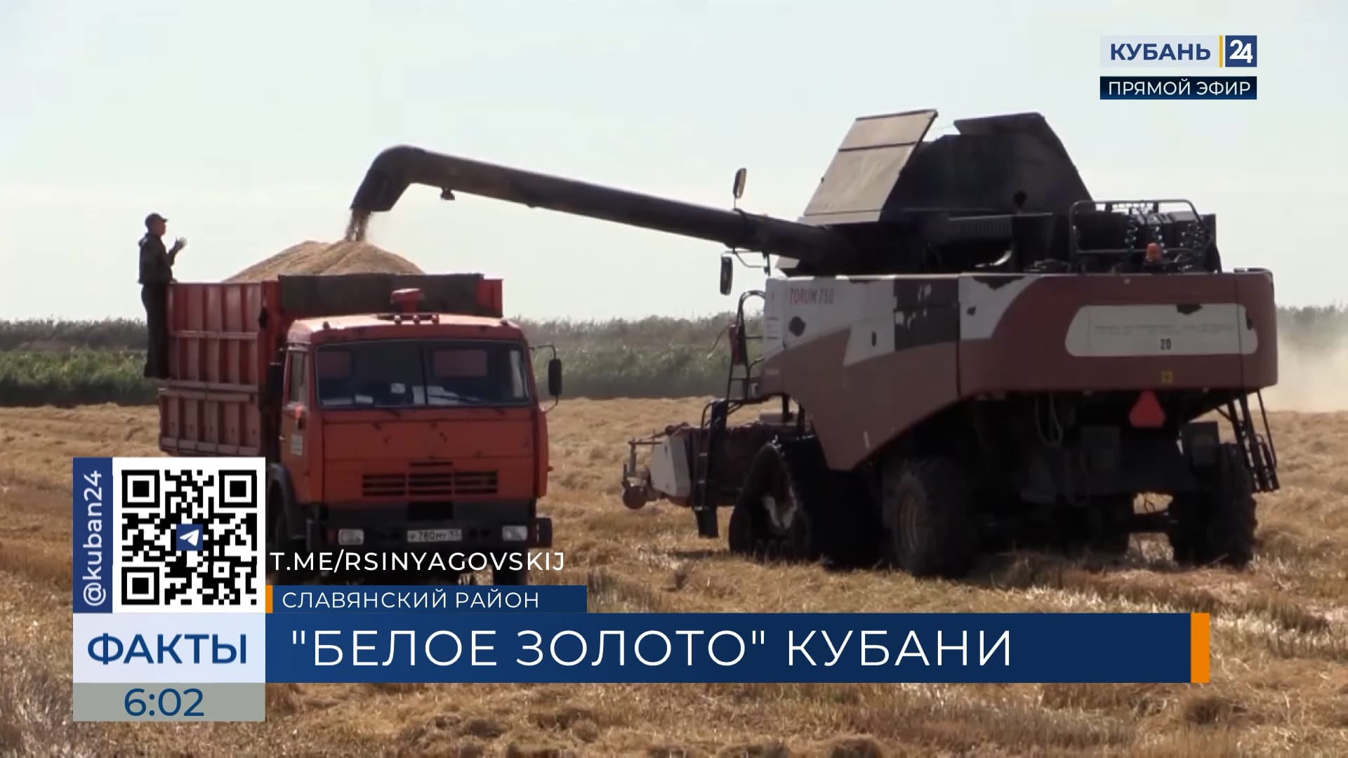Почти 150 тыс. тонн риса намолотили в Славянском районе