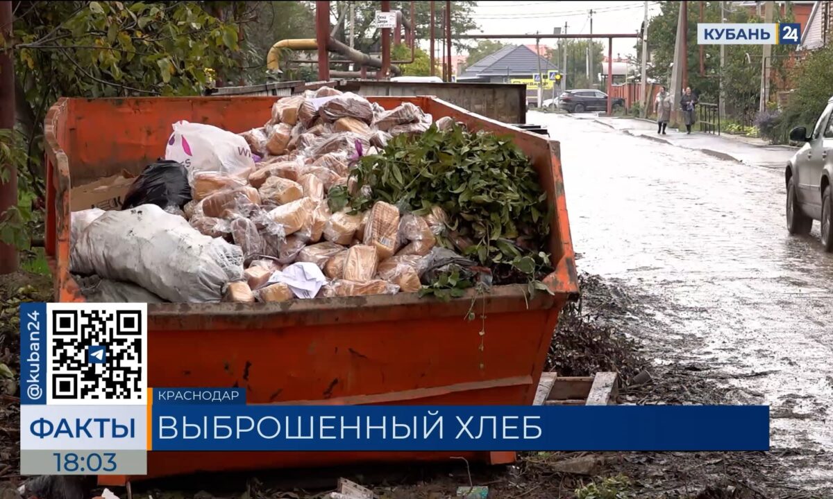 Целую партию хлеба выбросили в мусорный контейнер в поселке в Краснодаре