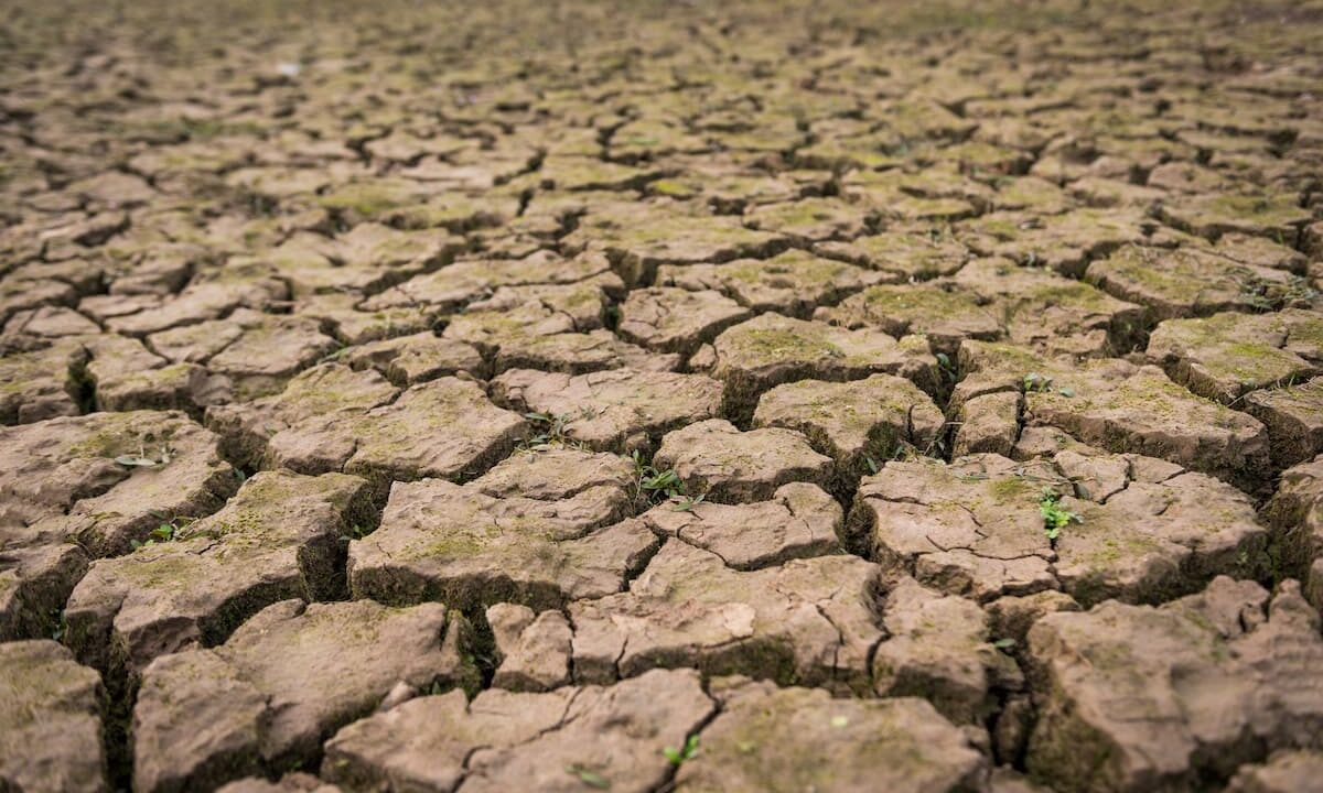 Дефицит осадков в октябре прогнозируют на юге России