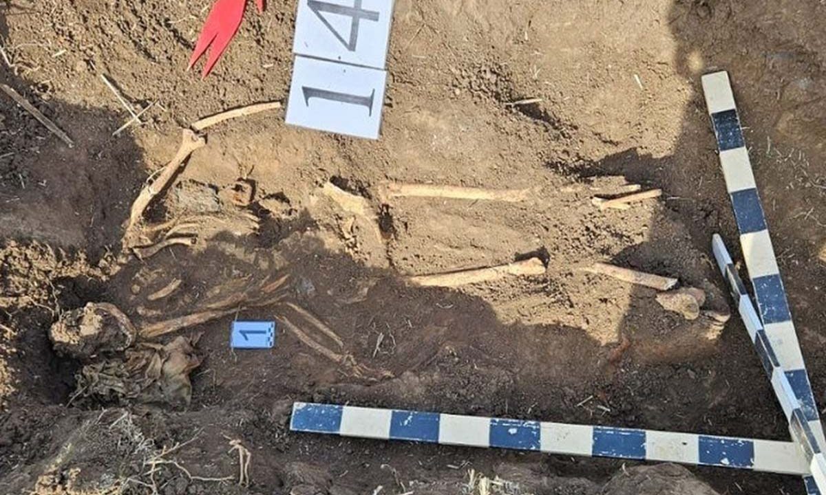 Останки красноармейца из Краснодарского края обнаружили в Крыму