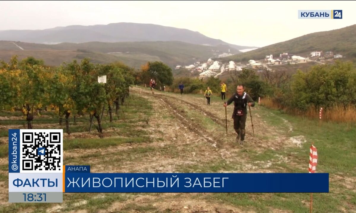 В забеге по виноградникам в Анапе приняли участие около 1 тыс. человек
