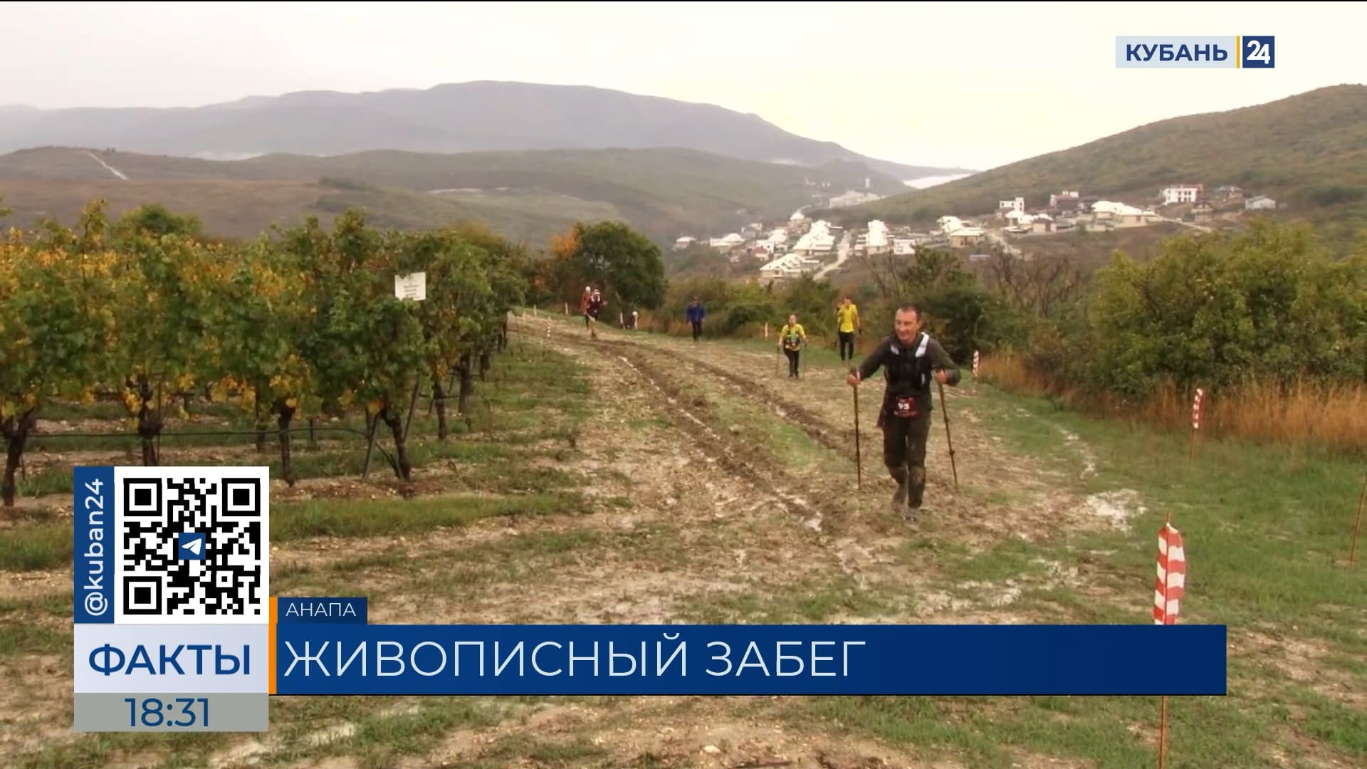 В забеге по виноградникам в Анапе приняли участие около 1 тыс. человек