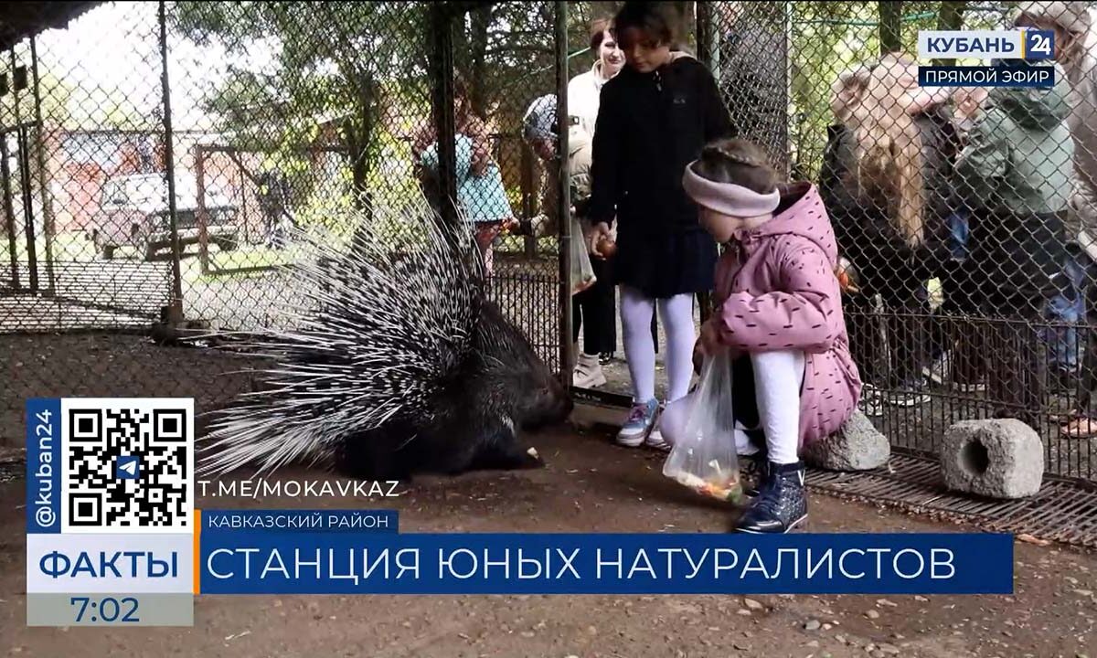 Школьники могут изучить мир дикой природы на Станции юннатов в Кавказском районе