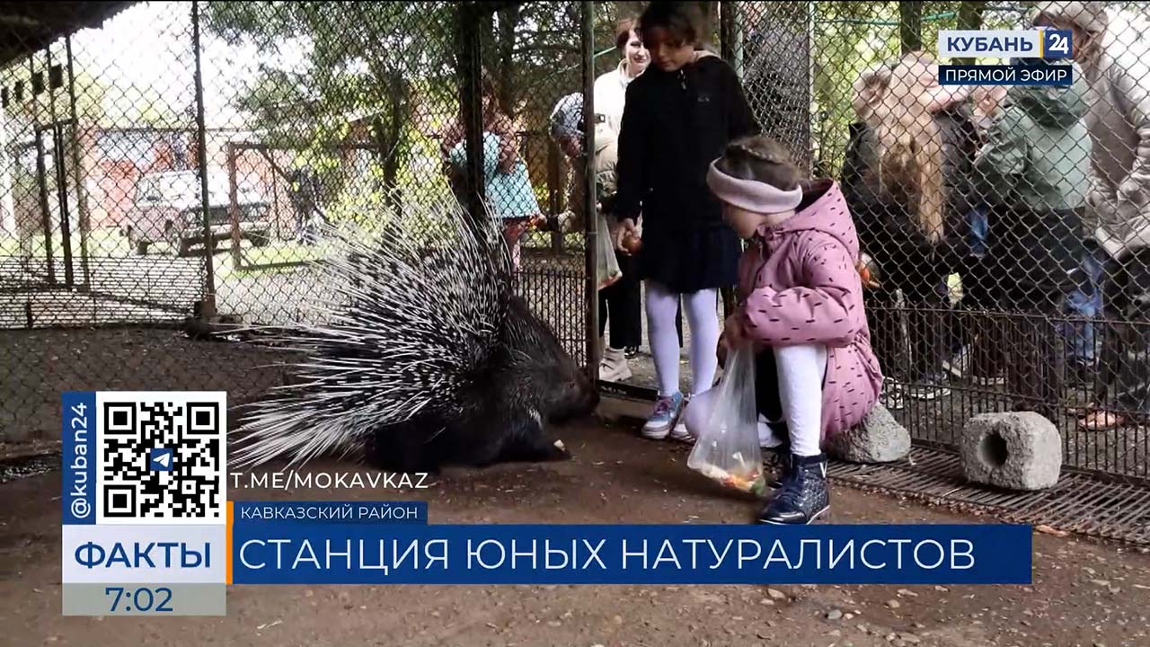 Школьники могут изучить мир дикой природы на Станции юннатов в Кавказском районе
