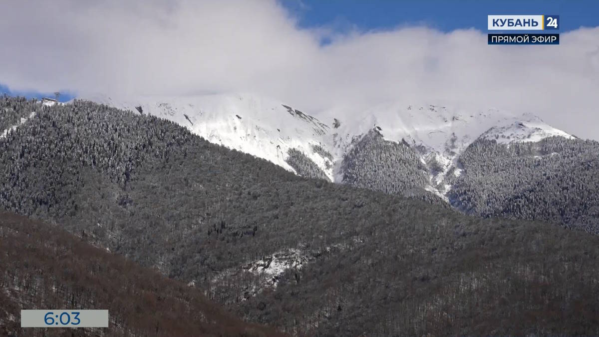 На курорте «Красная Поляна» отметили рост числа одиноких путешественников