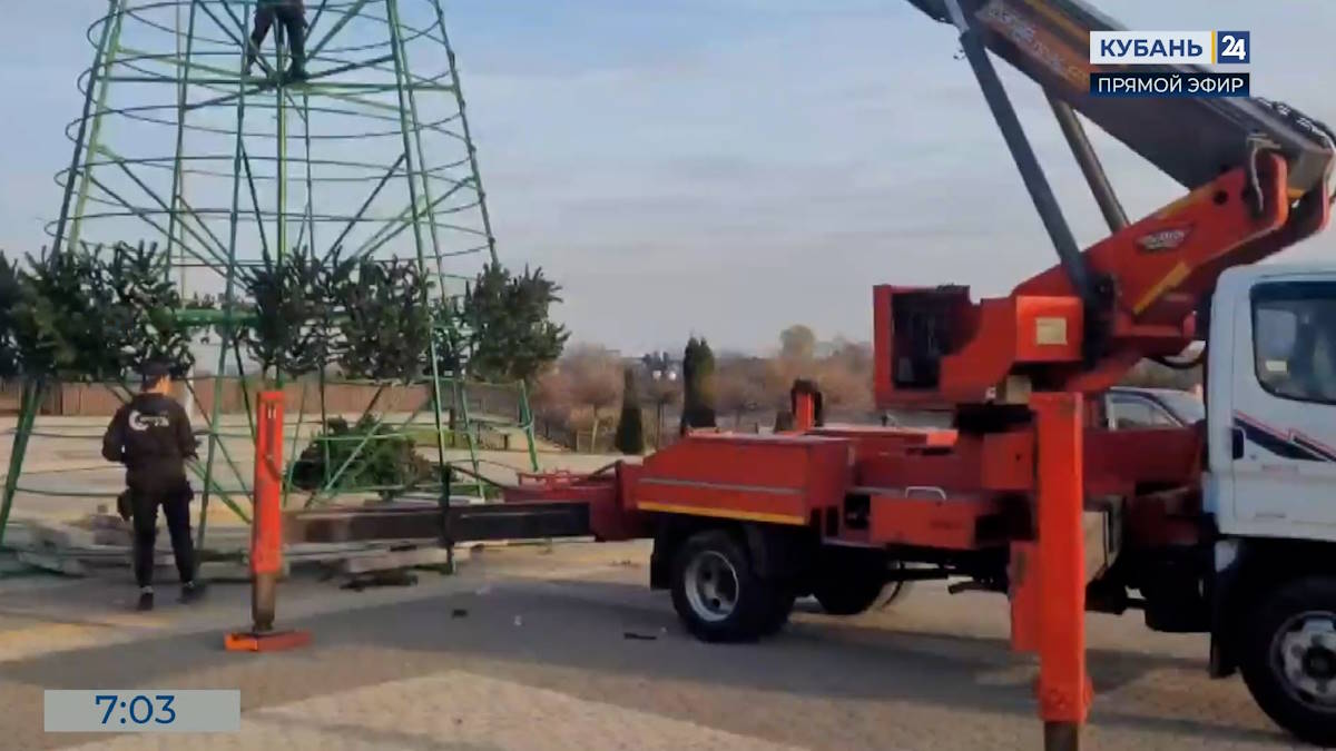 В городах Кубани начали устанавливать новогодние елки