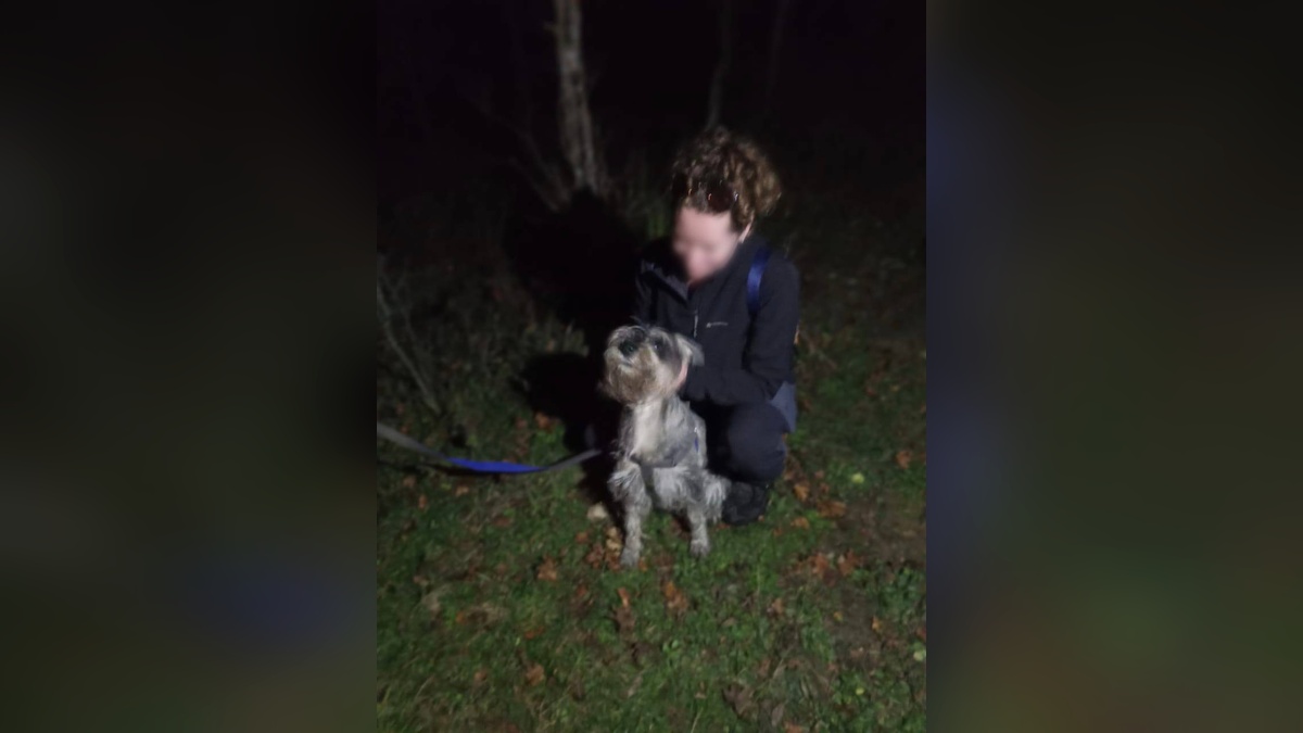 Собака провалилась в 10-метровую расщелину в горах Лабинского района