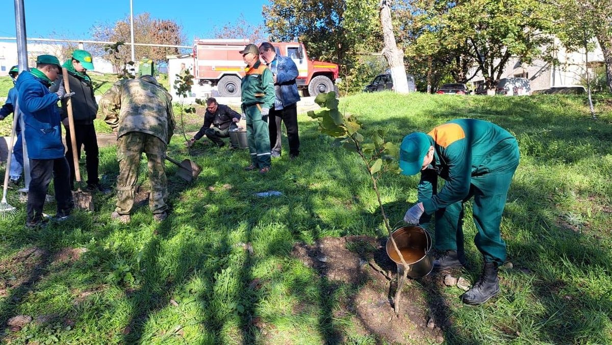 На Кубани высаживают деревья в рамках всероссийской акции «Сохраним лес»