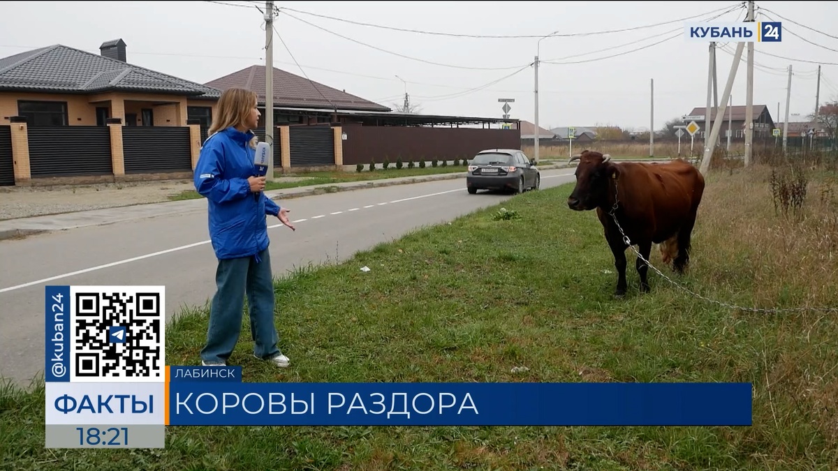 На сильный неприятный запах от подсобных хозяйств пожаловались жители Лабинска
