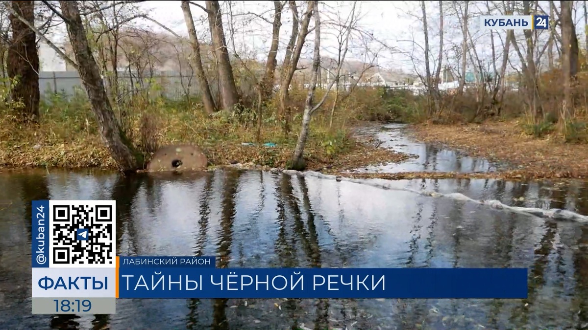 На химический запах от реки пожаловались жители Лабинского района | Факты