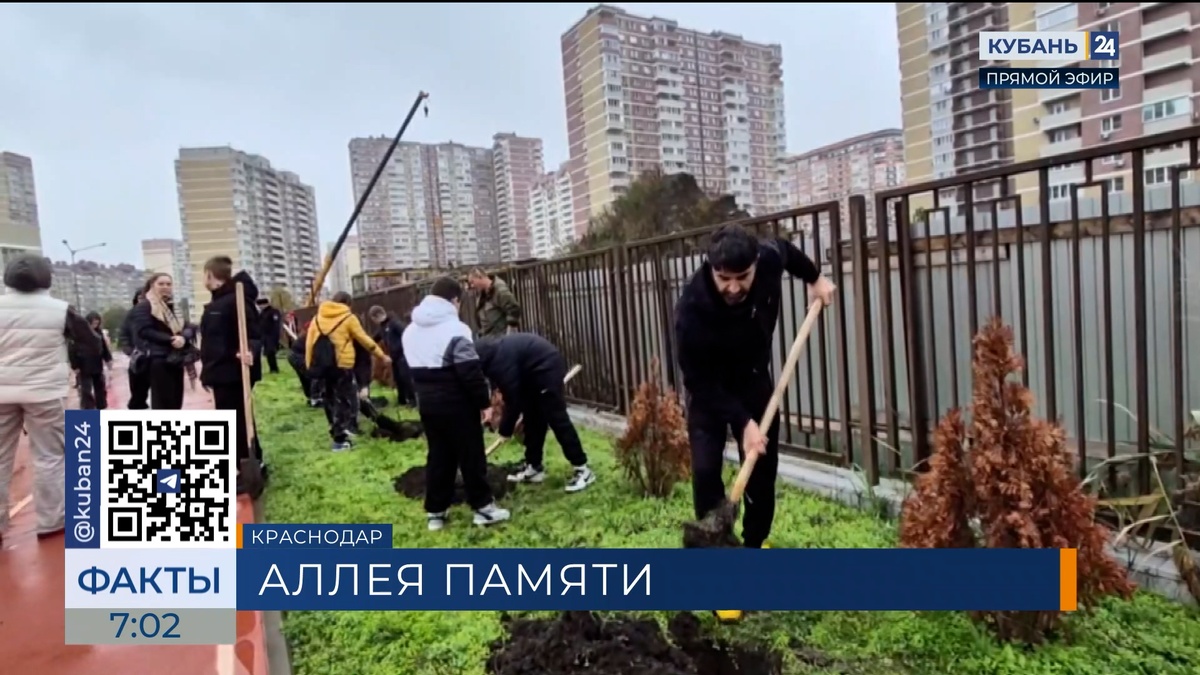 В Краснодаре на территории школы №111 появилась аллея памяти участников СВО