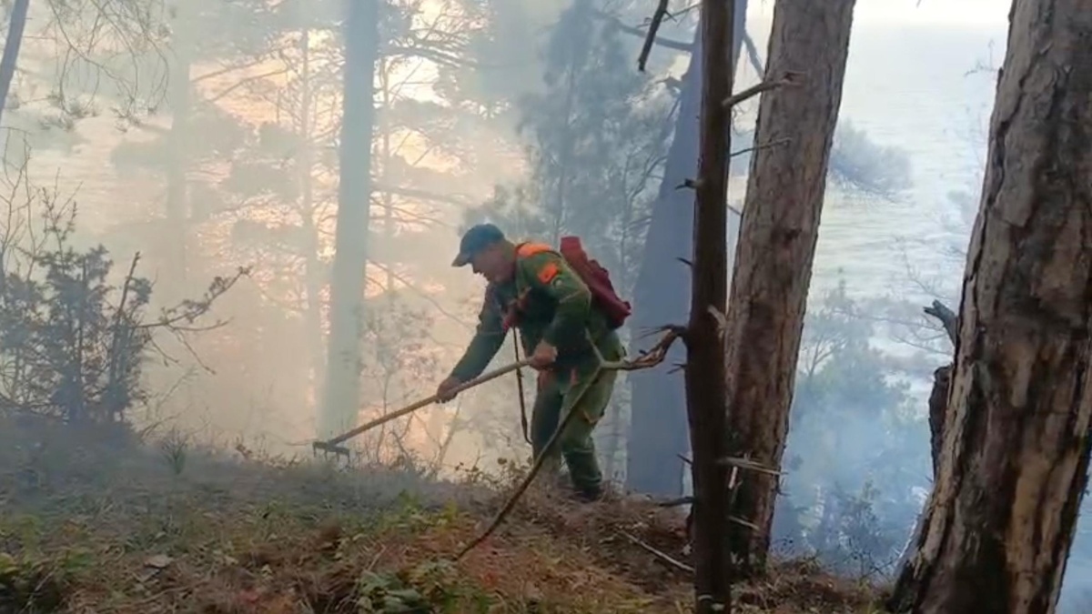 Лесной пожар в Архипо-Осиповке потушили спустя сутки