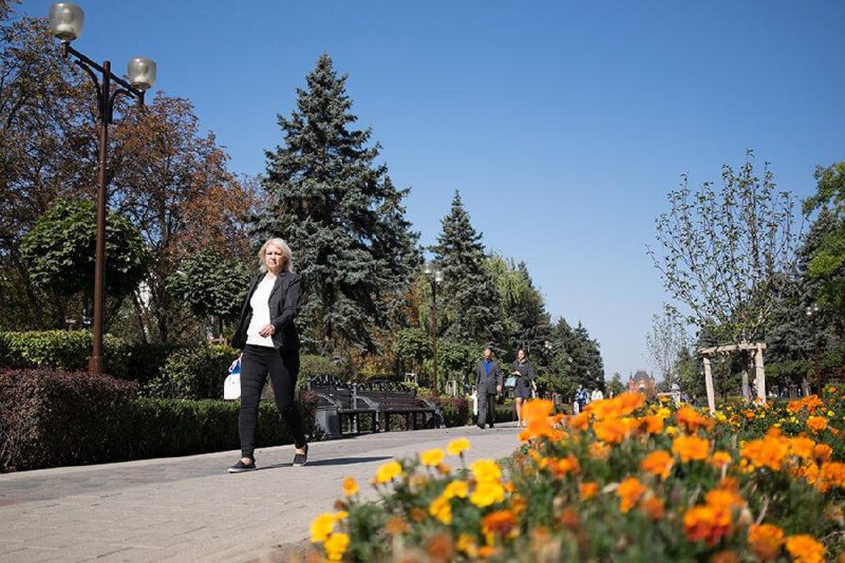 До +24 °С потеплеет в Краснодарском крае 22 ноября