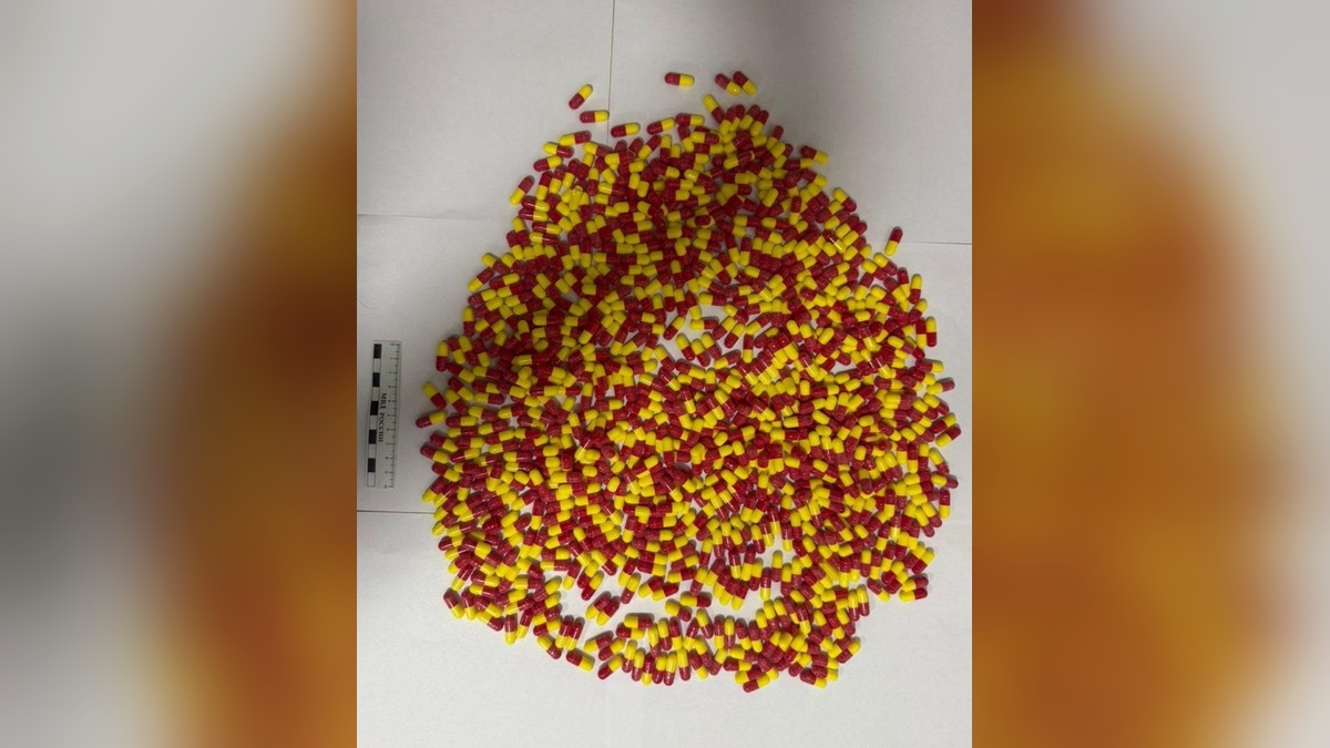 Полиция Туапсе изъяла у наркокурьера 800 таблеток прегабалина