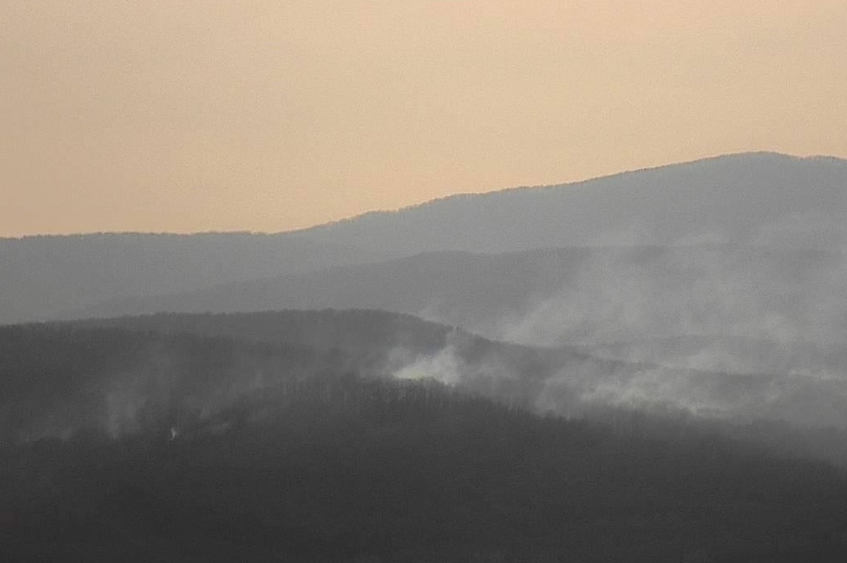 В Северском районе тушат лесной пожар площадью 1,6 гектара