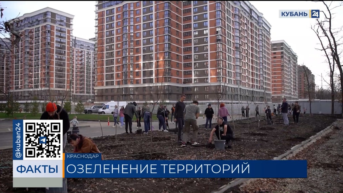 Компания «Догма» высадила аллею плодовых деревьев в Краснодаре