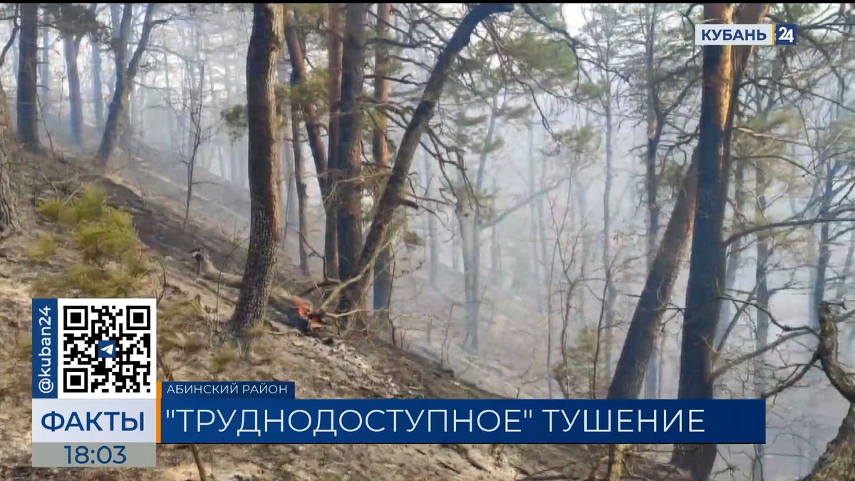 До 19 гектаров увеличилась площадь лесного пожара в Абинском районе