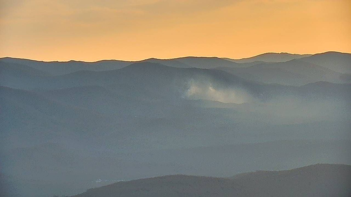 Восемь гектаров леса загорелись в трех районах Краснодарского края