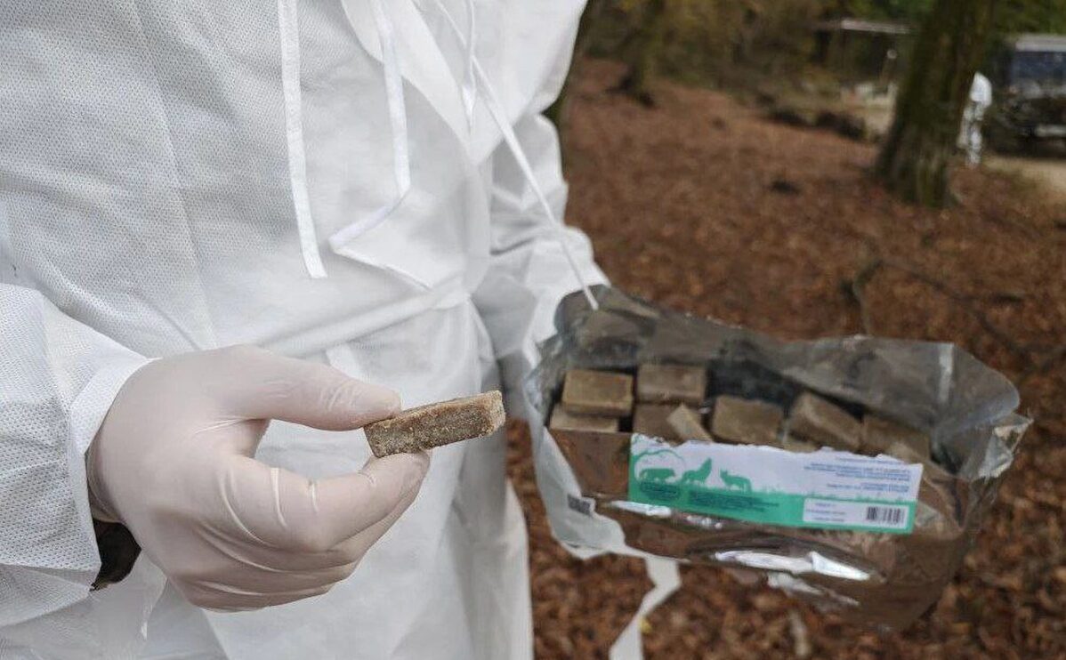 Вакцинацию диких хищников от бешенства провели в нацпарке Сочи